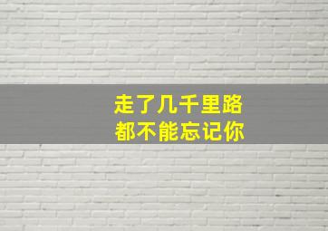 走了几千里路 都不能忘记你